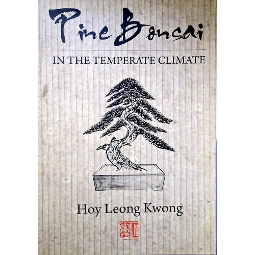 Pine Bonsai. In The Warm Climate