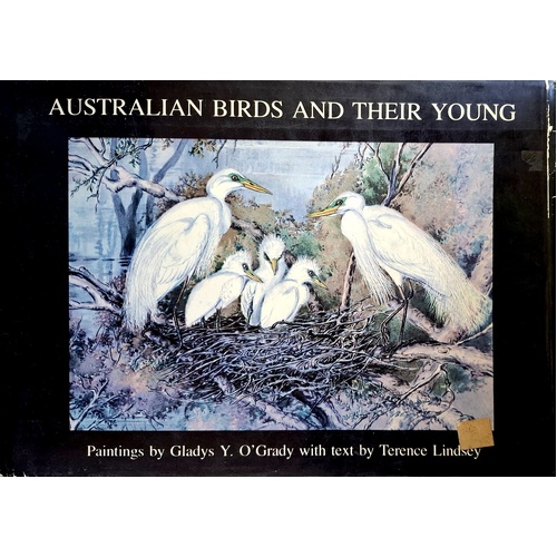Australian Birds And Their Young
