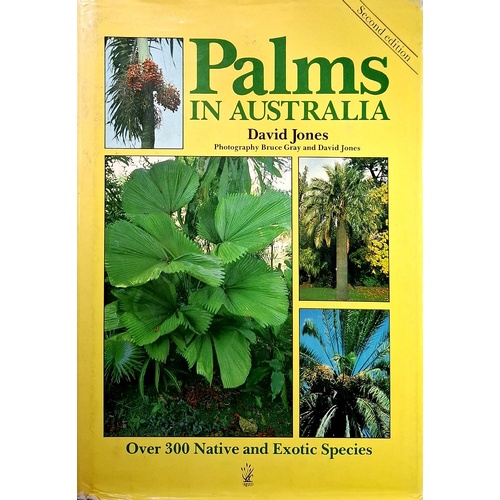 Palms In Australia