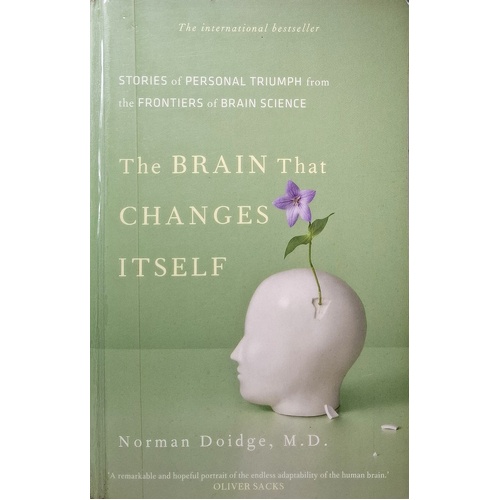 The Brain That Changes Itself