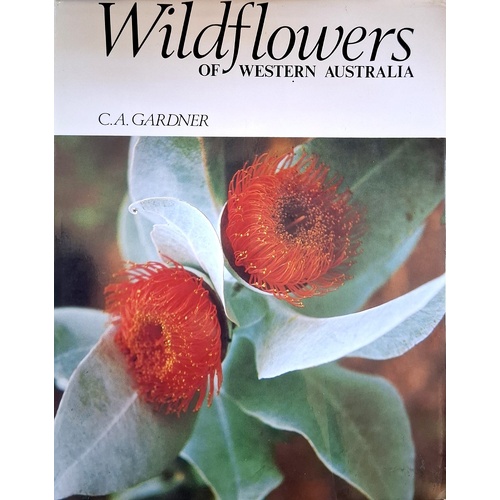 Wildflowers Of Western Australia