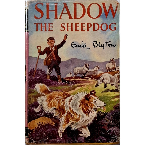 Shadow The Sheepdog