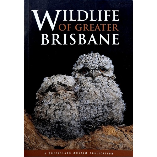 Wildlife Of Greater Brisbane