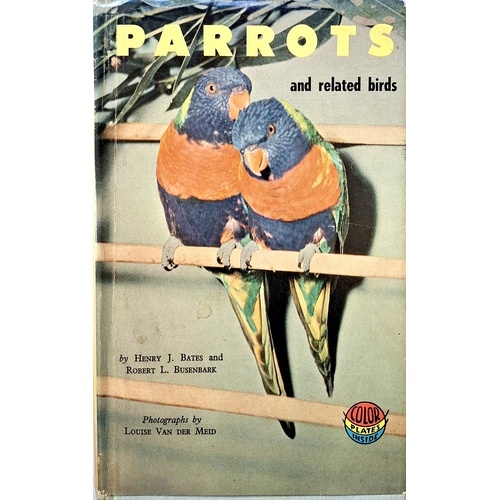 Parrots And Related Birds