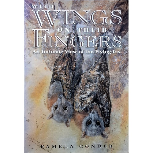 With Wings On Their Fingers. Intimate View Of The Flying Fox