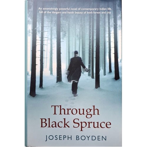 Through Black Spruce