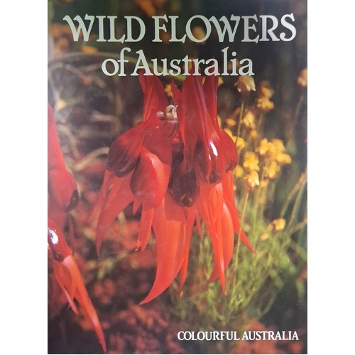 Colourful Australia Wild Flowers