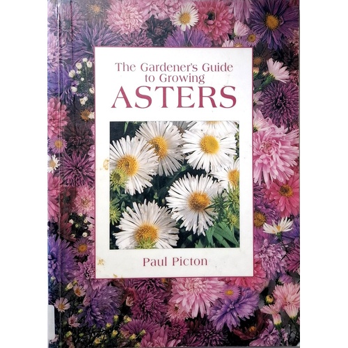 Gardener's Guide To Growing Asters
