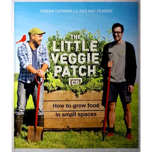 The Little Veggie Patch Co