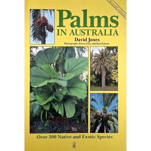 Palms In Australia