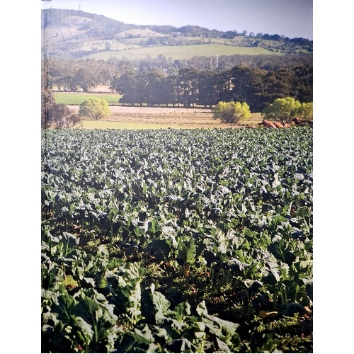 It Tastes Better. Over 100 New Recipes Using My Favourite Sustainable Produce