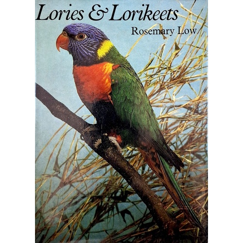 Lories And Lorikeets