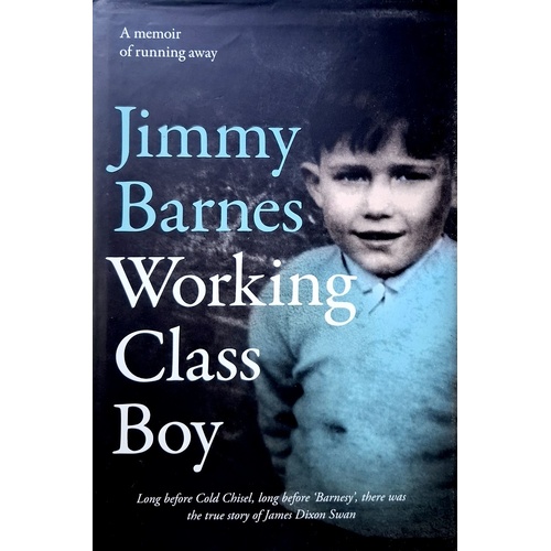 Working Class Boy