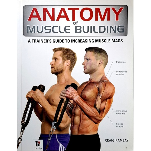 Anatomy Of Muscle Building