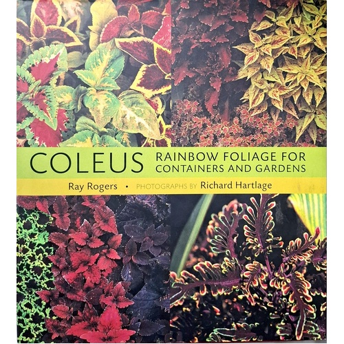 Coleus. Rainbow Foliage For Containers And Gardens