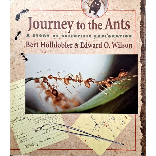 Journey To The Ants. A Story Of Scientific Exploration
