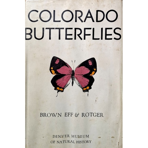 Colorado Butterflies