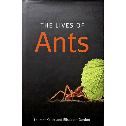 The Lives Of Ants