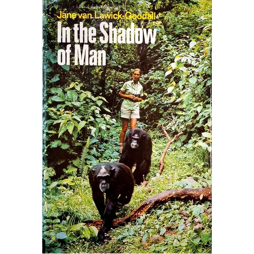 In The Shadow Of Man