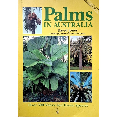 Palms In Australia