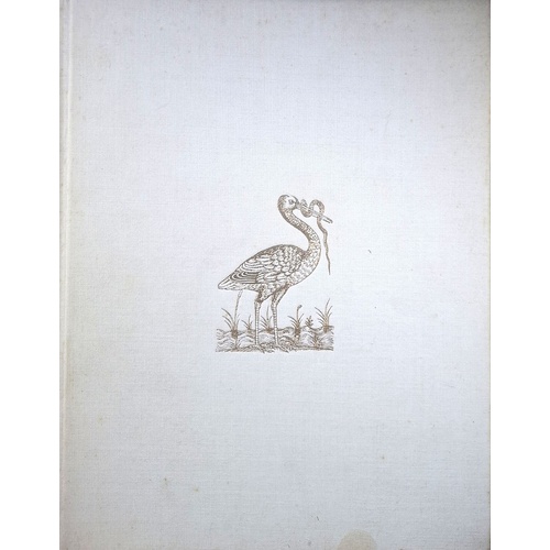 The Bird Illustrated, 1550-1900. From The Collections Of The New York Public Library