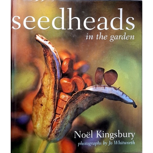 Seedheads In The Garden