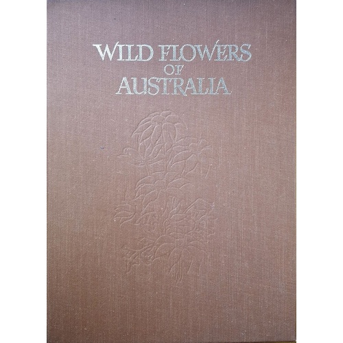 Wildflowers Of Australia