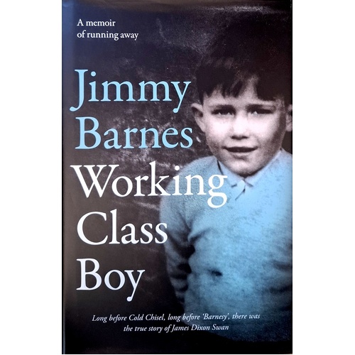 Working Class Boy