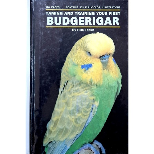 Taming And Training Your First Budgerigar