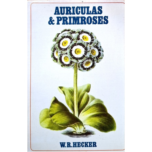 Auriculas And Primroses