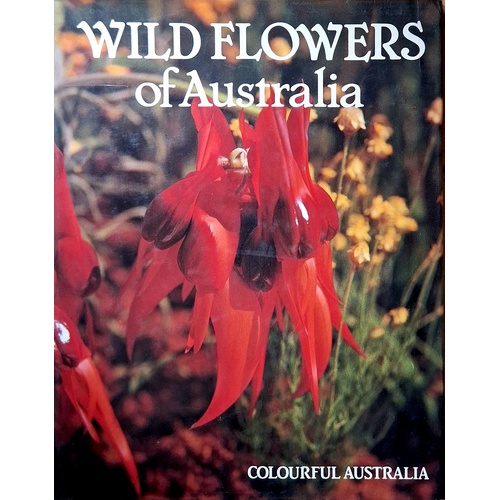 Colourful Australia Wild Flowers