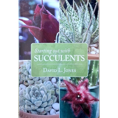 Starting Out With Succulents