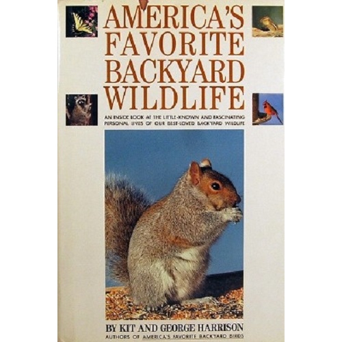 America's Favorite Backyard Wildlife