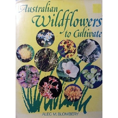 Australian Wildflowers To Cultivate