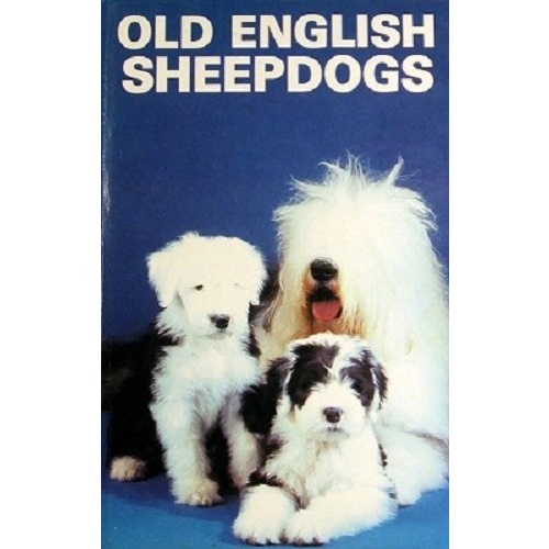 Old English Sheepdogs
