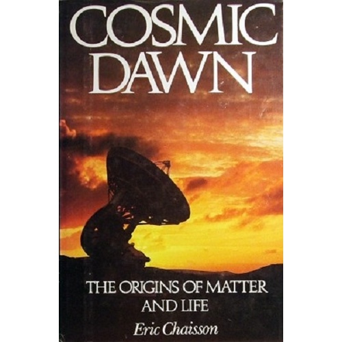 Cosmic Dawn. The Origins Of Matter And Life