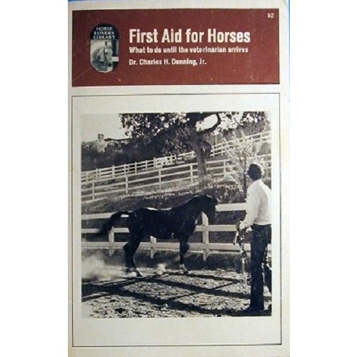 First Aid For Horses. What To Do Until The Veterinarian Arrives