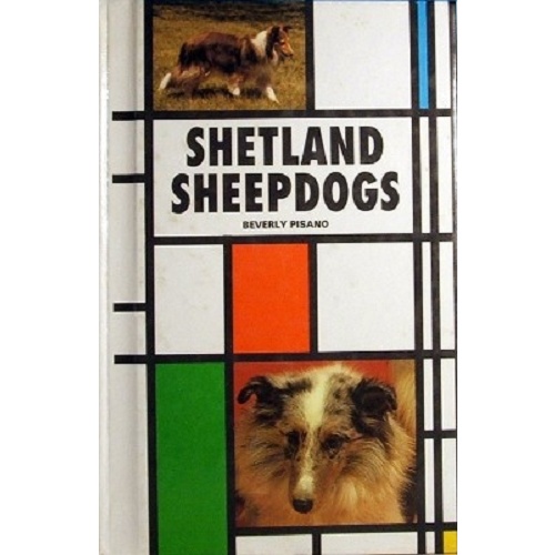 Shetland Sheepdogs