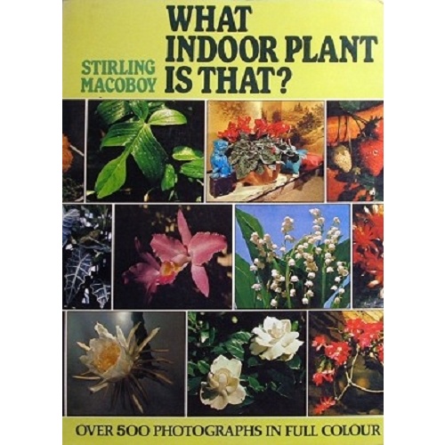 What Indoor Plant Is That