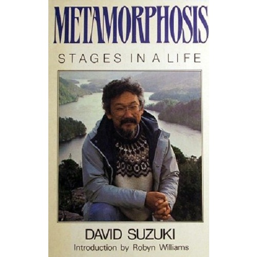Metamorphosis. Stages In Life