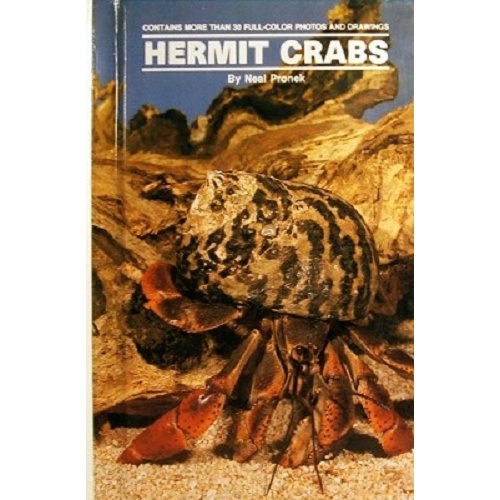 Hermit Crabs
