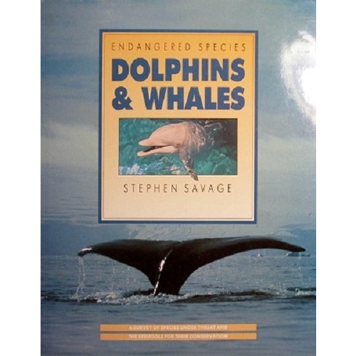Endangered Species Dolphins And Whales
