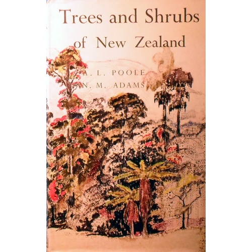 Trees And Shrubs Of New Zealand