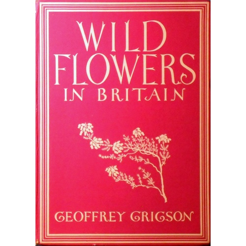 Wild Flowers In Britain